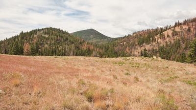Fremont National Recreation Trail