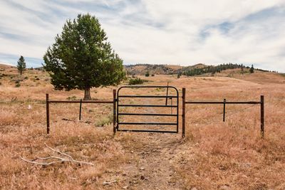 Fremont National Recreation Trail
