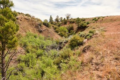 Fremont National Recreation Trail