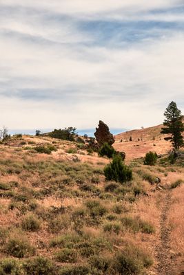Fremont National Recreation Trail