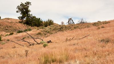 Fremont National Recreation Trail