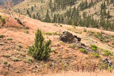 Fremont National Recreation Trail