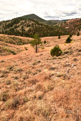 Fremont National Recreation Trail