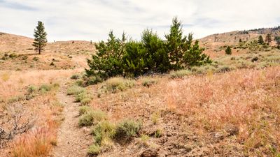 Fremont National Recreation Trail