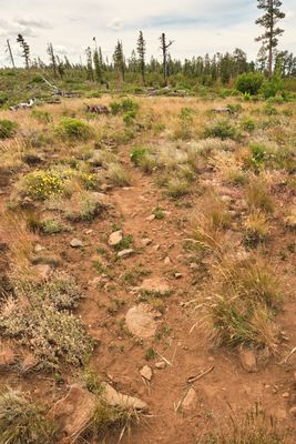Fremont National Recreation Trail