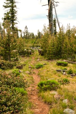 Fremont National Recreation Trail