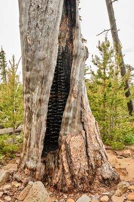 Fremont National Recreation Trail