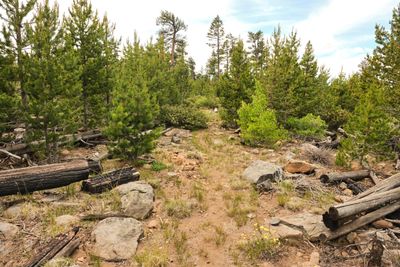 Fremont National Recreation Trail