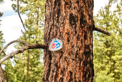 Fremont National Recreation Trail