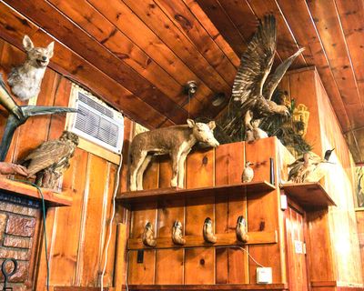 Mohawk - Stuffed Animals