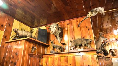 Mohawk - Stuffed Animals
