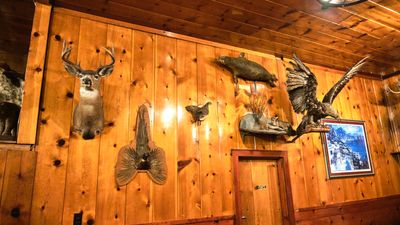 Mohawk - Stuffed Animals