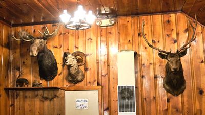 Mohawk - Stuffed Animals