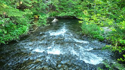 Diamond Creek Falls