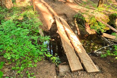 Diamond Creek Falls