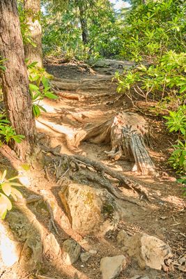 Diamond Creek Falls