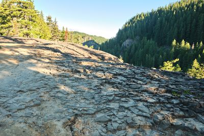 Diamond Creek Falls