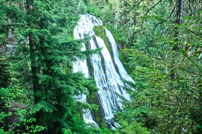Diamond Creek Falls