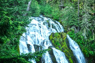 Diamond Creek Falls
