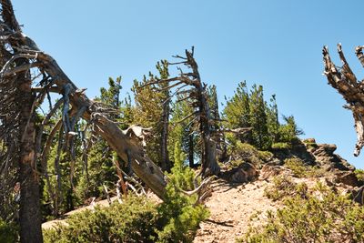 Newberry Caldera