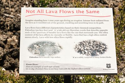 Lava Cast Forest