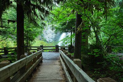 Sahalie Falls