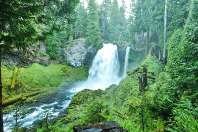 Sahalie Falls