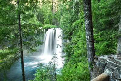 Koosah Falls