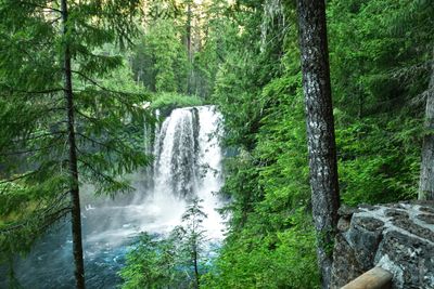 Koosah Falls