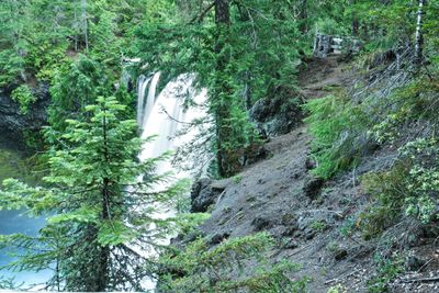Koosah Falls
