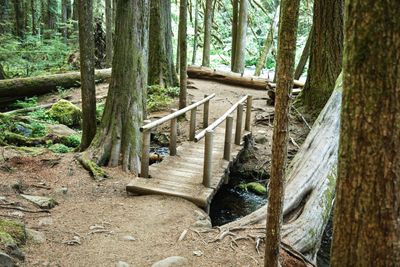 Tamolitch Blue Pool