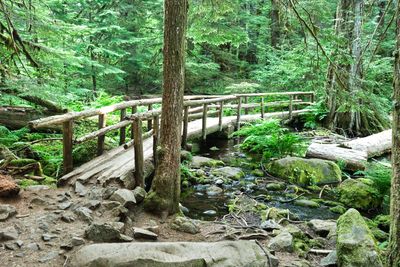 Tamolitch Blue Pool