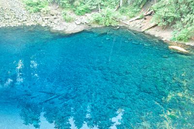 Tamolitch Blue Pool