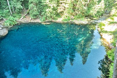 Tamolitch Blue Pool