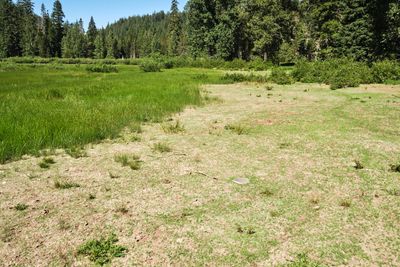 Lost Lake