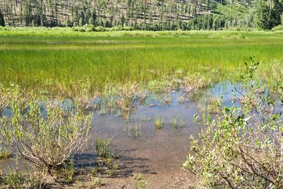 Lost Lake