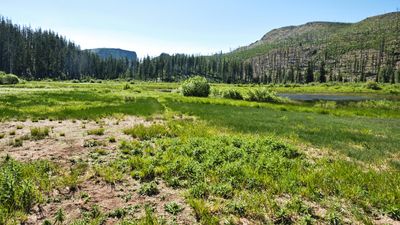 Lost Lake