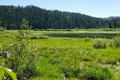 Lost Lake