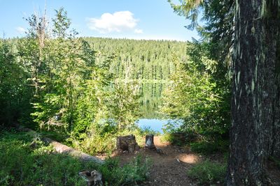 Clear Lake