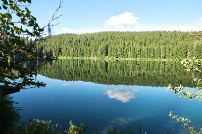 Clear Lake