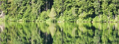 Clear Lake