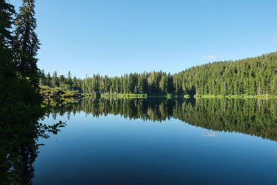 Clear Lake