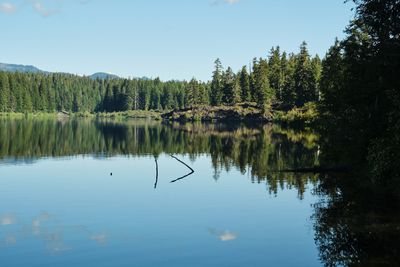 Clear Lake