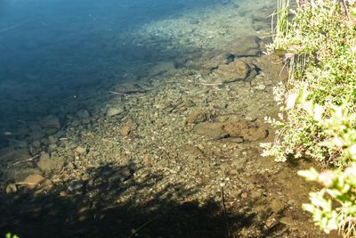 Clear Lake