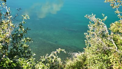 Clear Lake