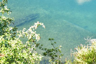 Clear Lake