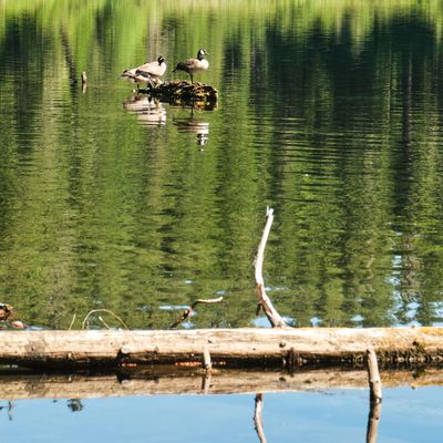 Clear Lake