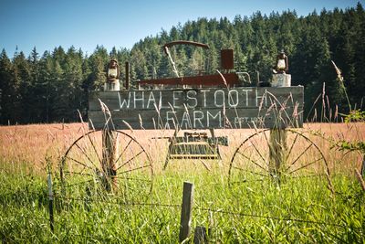 Whalestooth Farm