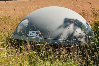 Whalestooth Farm