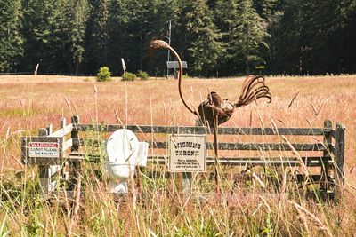 Whalestooth Farm